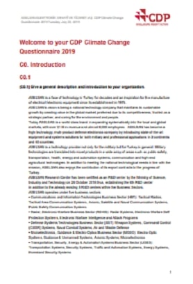 ASELSAN CDP REPORT 2019 - ASELSAN